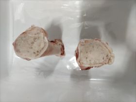 6-Beef Bone marrow Grup Vinas6